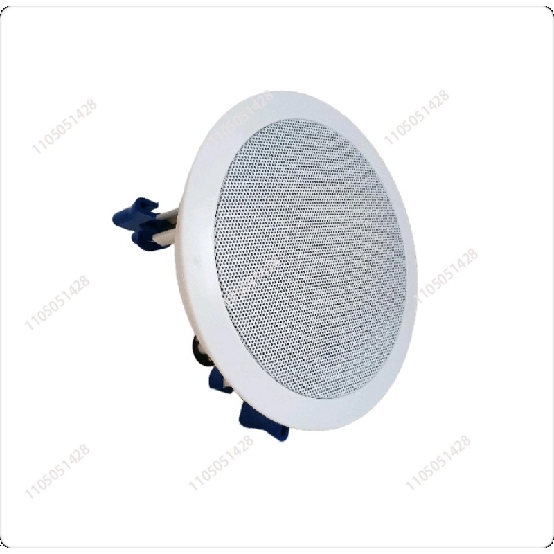 Audio Music Store - IP network speaker, ceiling audio, hotel