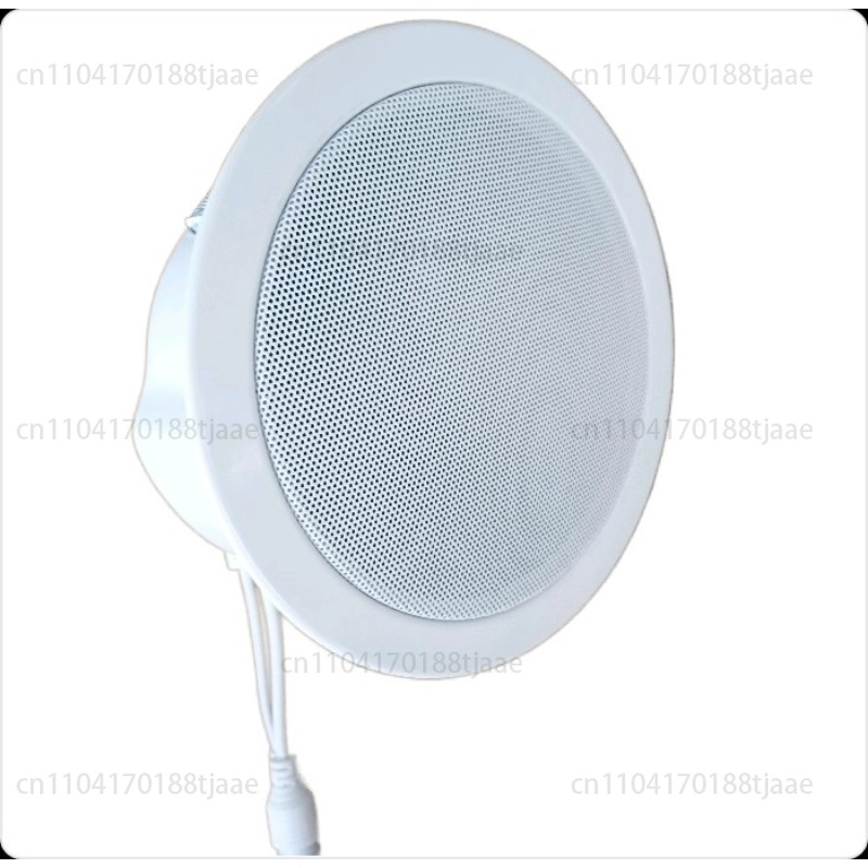 Audio Music Store - IP Network Speaker, Ceiling Audio, Hotel