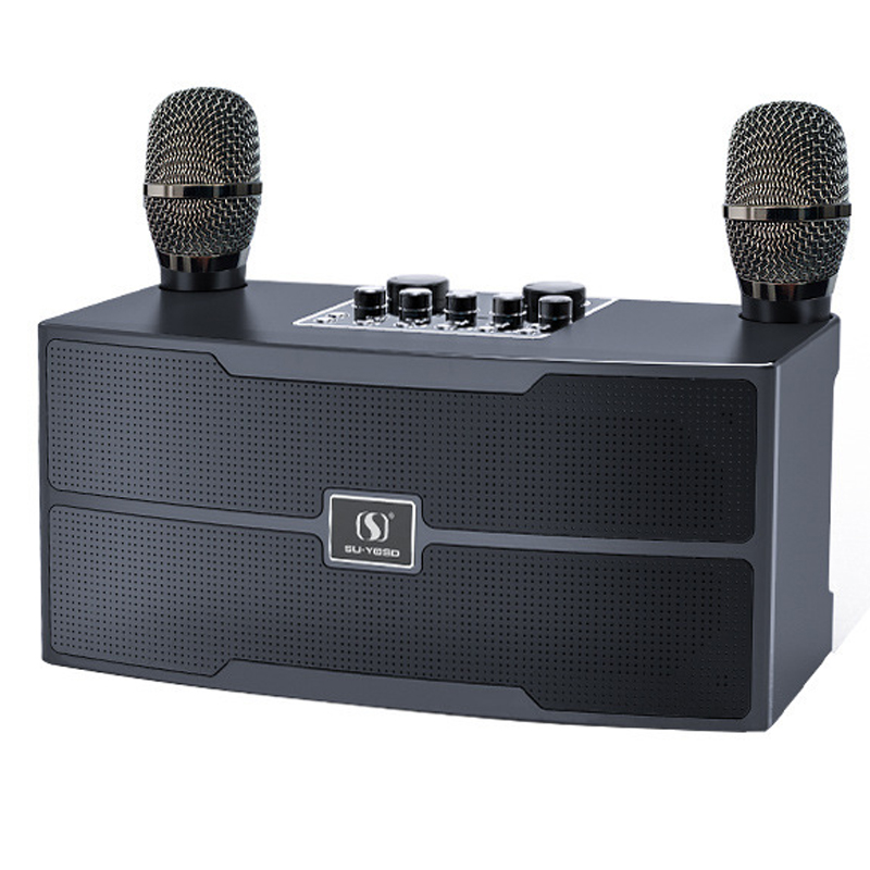 Audio X Music - 120W High Power Wireless Portable Microphone