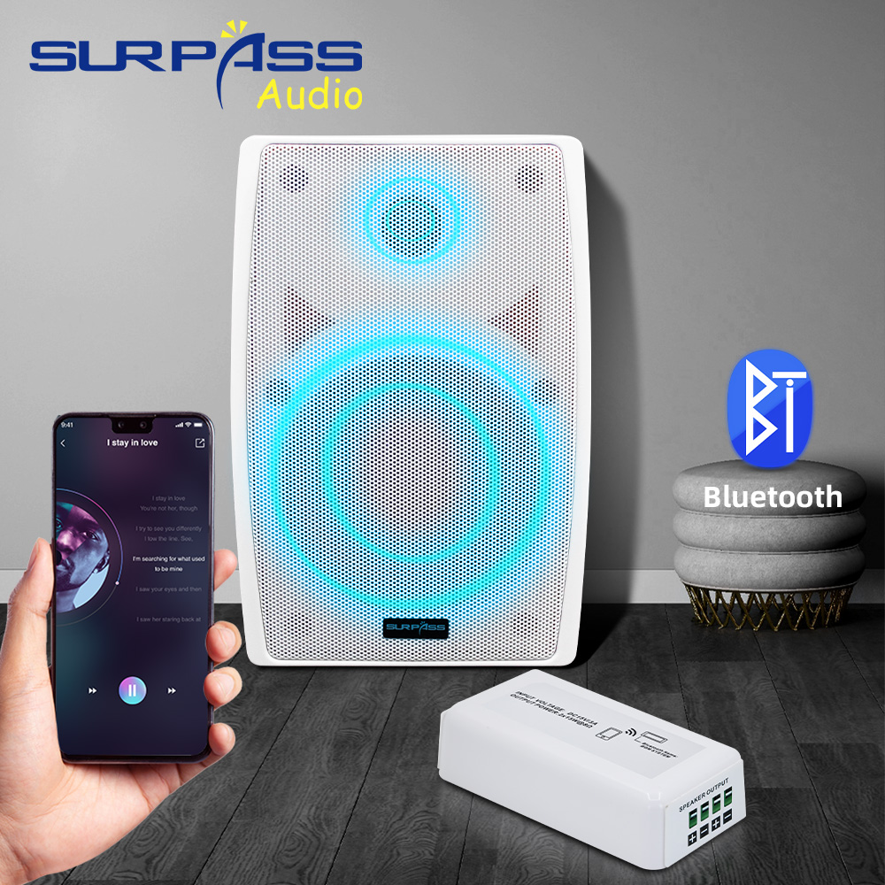 Smart Home Audio Mini Bluetoot - Audio Music Store 评论和价格