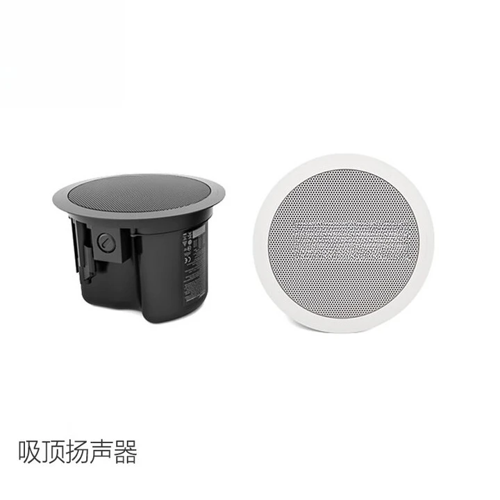 Ceiling audio, fixed pressure  - Audio Music Store 评论和价格