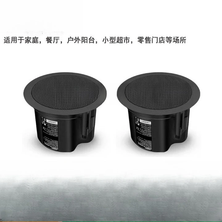 Ceiling audio, fixed pressure  - Audio Music Store 评论和价格