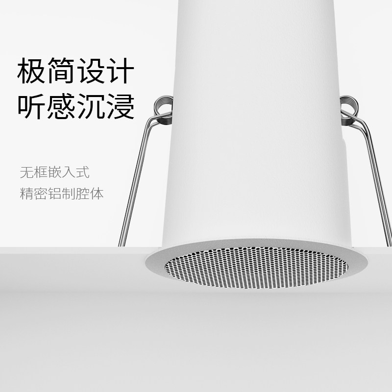 Ceiling audio, embedded speake - Audio Music Store 评论和价格
