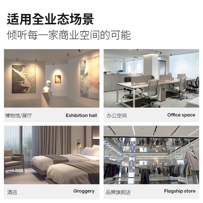 Ceiling audio, embedded speake - Audio Music Store 评论和价格