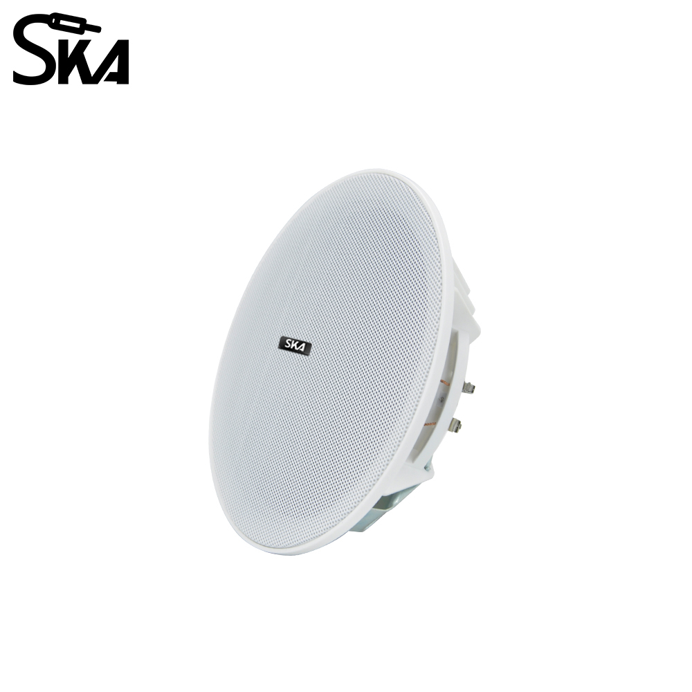6.5-inch 20W， 8ΩDual cone spea - Audio Music Store 评论和价格