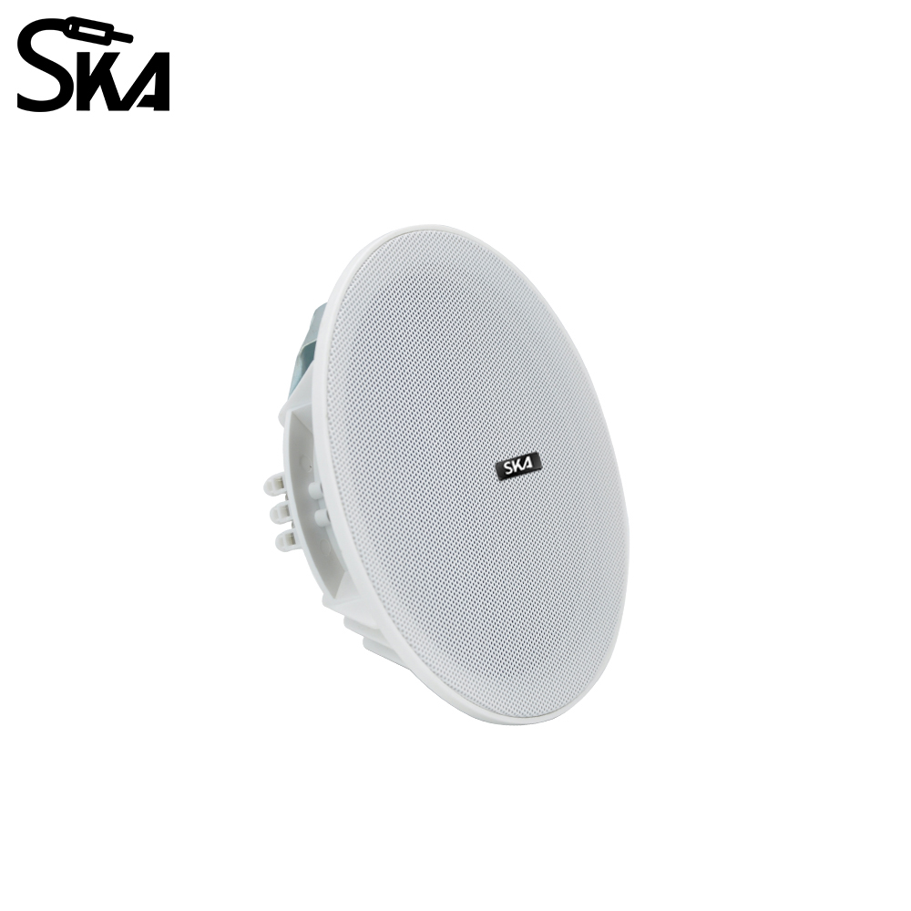 6.5-inch 20W， 8ΩDual cone spea - Audio Music Store 评论和价格