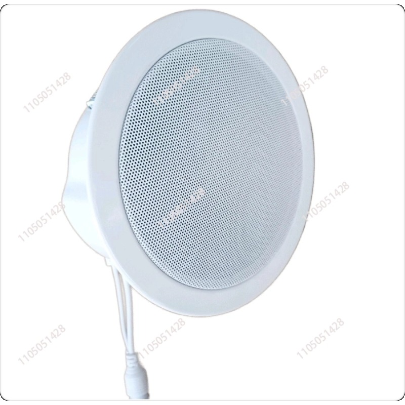IP network speaker, ceiling au - Audio Music Store 评论和价格