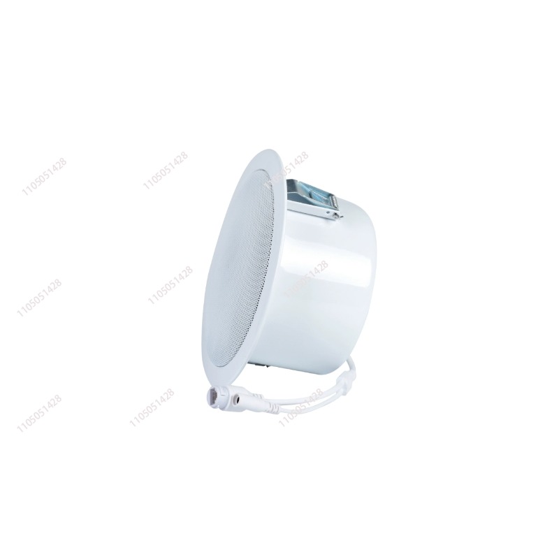 IP network speaker, ceiling au - Audio Music Store 评论和价格
