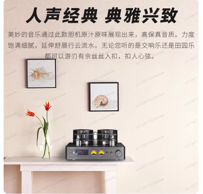 220V 400W * 2 High Fidelity Wi - Audio Youtube Music Free 评论和价格