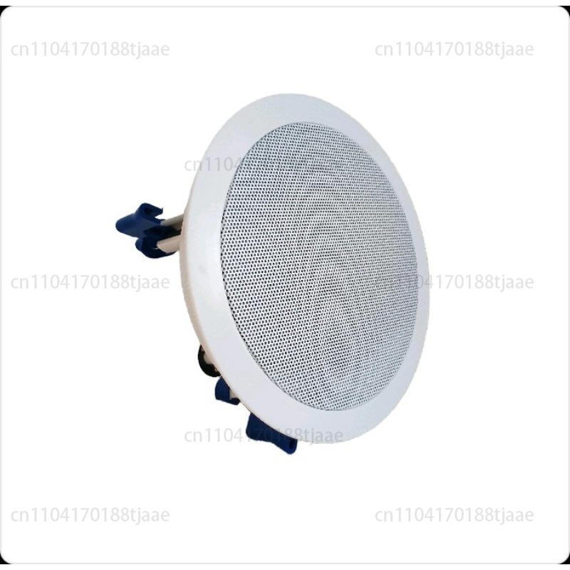 IP Network Speaker, Ceiling Au - Audio Music Store 评论和价格