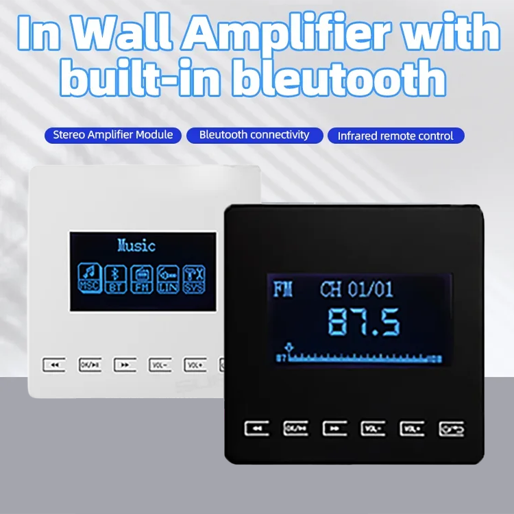 Mini Bluetooth Amplifier Wall  - Audio Music Store 评论和价格