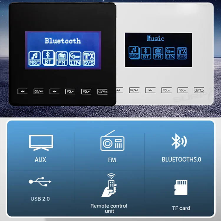 Mini Bluetooth Amplifier Wall  - Audio Music Store 评论和价格