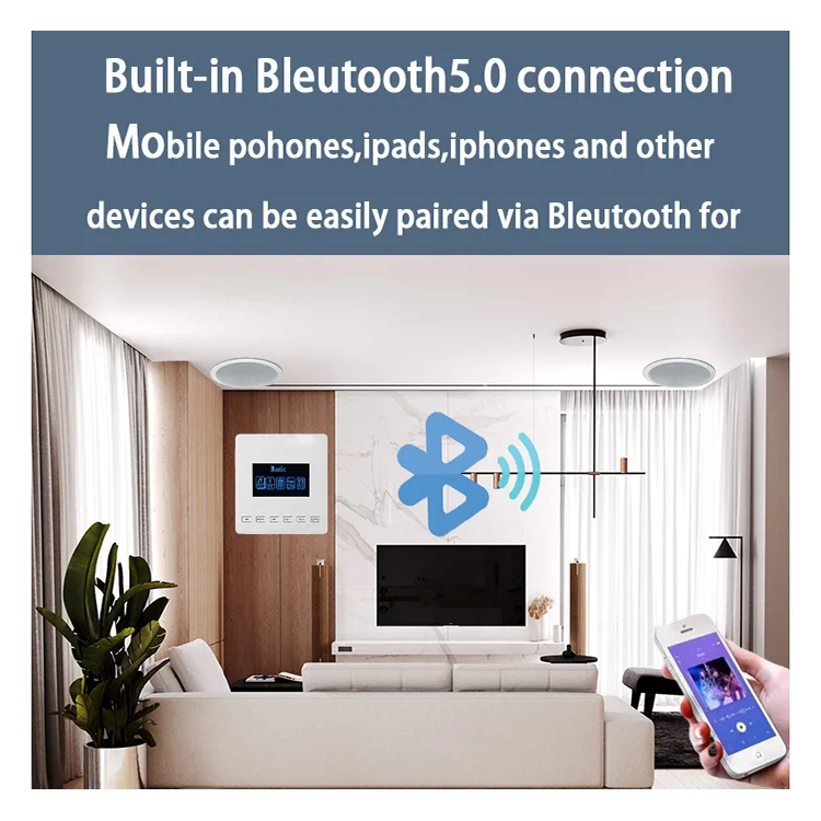 Mini Bluetooth Amplifier Wall  - Audio Music Store 评论和价格