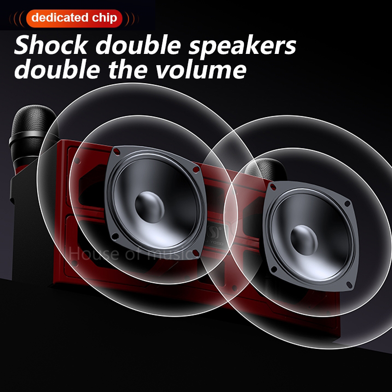 120W High Power Wireless Porta - Audio X Music 评论和价格
