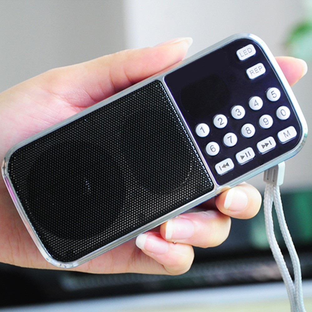 L-088 Portable HIFI Mini Speak - Portable Amplifier Mini 评论和价格