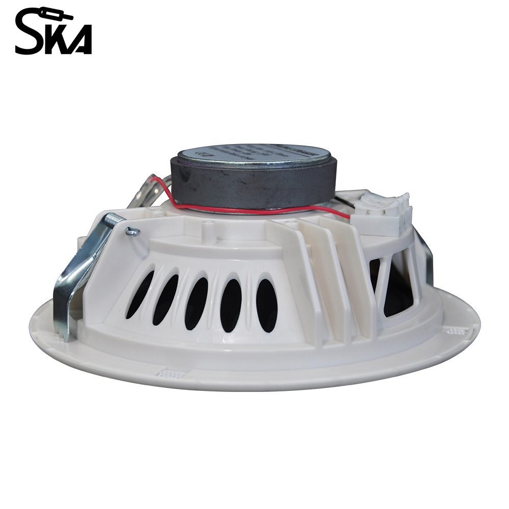 6.5-inch 12W 8Ω Dual cone spea - Audio Music Store 评论和价格
